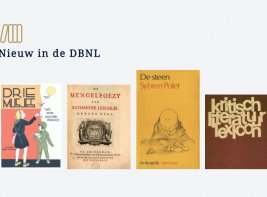 DBNL, Digitale Bibliotheek Nederlandse Letteren